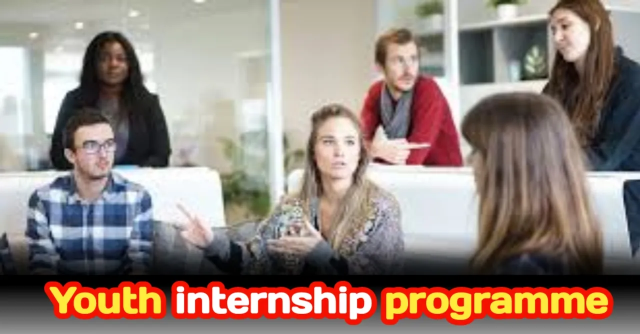 Youth internship programme