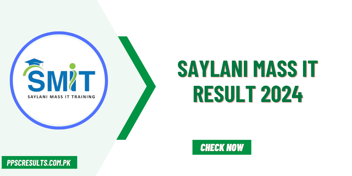 SMIT Result 2024 Saylani Mass IT [result.saylaniwelfare.com]