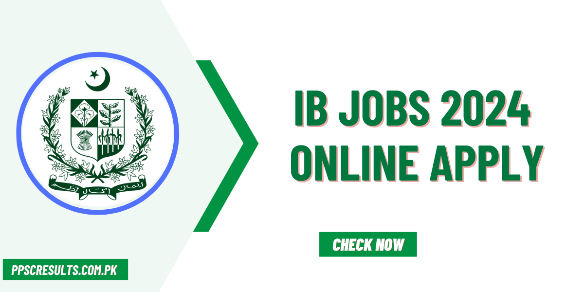 ib jobs 2024 Online Apply