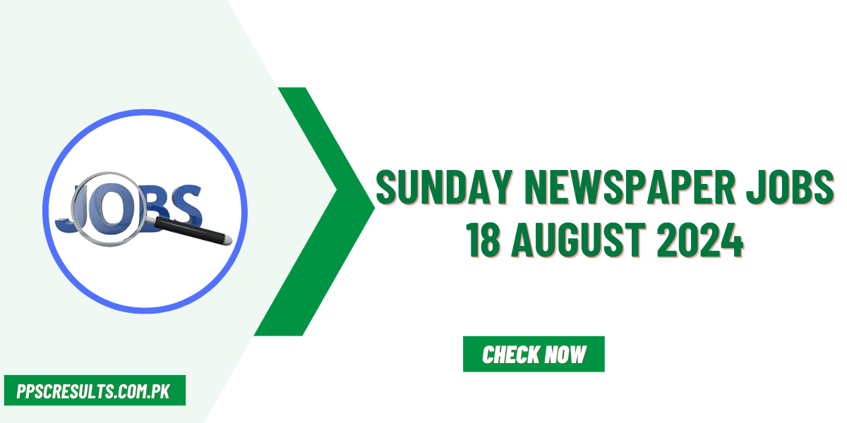 Sunday Newspaper Jobs 18 August 2024