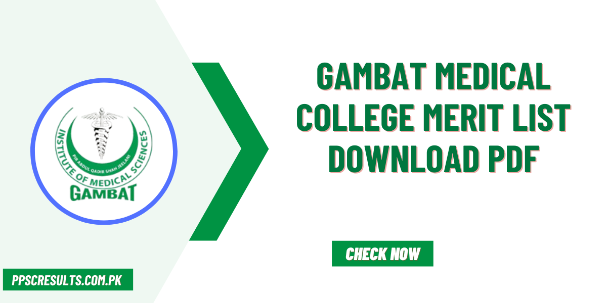 Gambat Medical College Merit List Download PDF